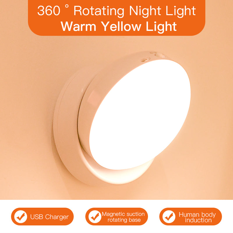 Motion Detecting Light